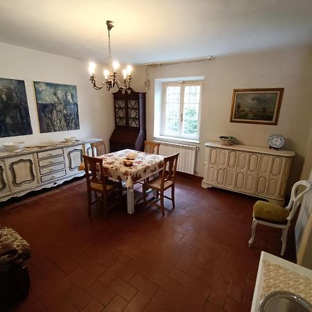 Cozy Apartment Near The City Walls Lucca Exteriör bild